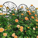 Metal Garden Trellis Rustproof Trellis for Climbing Plants Outdoor Flower Support Peacock Style (Black-4 Pack, 86.7"x19.7") by GreenHaven Gardens