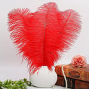 THARAHT Red Ostrich Feathers 12pcs Large Natural Bulk 14-16Inch 35cm-40cm for Wedding Party Centerpieces Halloween and Home Decoration Feathers by CozyNest Decor