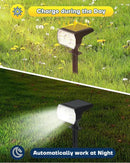 Kaxiida Solar Lights Outdoor Waterproof IP68, 3 Lighting Models Solar Powered Spot Lights Outdoor, 56LED Light Dusk to Dawn for Yard Patio Garden Pathway Landscape Lighting by GreenHaven Gardens