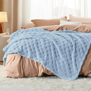 Bedsure GentleSoft Light Blue Throw Blanket for Couch - Super Soft Cozy Blankets Gifts for Women Men Girls, Cute Small Fleece Throws for Bedroom Home Decor, 50x70 Inches by CozyNest Decor