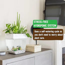 Back to the Roots Indoor Hydroponic Garden - 3 Gallon Self Watering, Mess-Free Planter for Herbs, Microgreens, Bamboo, Succulents, and Houseplants, Green by GreenHaven Gardens