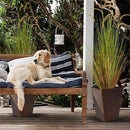 KOL Artificial 5ft 2-Pack Horsetail Reed Grass, 59in Tall Artificial Indoor Outdoor Fake Grass Plant, Home Office Décor Artificial Plants in Pot Faux Plant Greenery, Wedding Decor - Yellow by CozyNest Decor