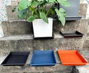 Square Plant Saucer 12 Inch 5 Pack, Plant Stand Plant Trays for Pots Heavy Duty Plastic Plant Saucers for Indoors Outdoors, Flower Pot No Holes Terracotta Plant Lover Gardening Gifts by GreenHaven Gardens