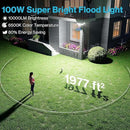 Olafus 100W Motion Sensor Outdoor Lights, 10000LM 6500K Daylight Flood Lights Outdoor Motion Sensor, Dusk to Dawn Outdoor Lighting, IP65 Waterproof Motion Detector Lights for Outside, Black by GreenHaven Gardens