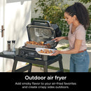 Ninja | Grill & Smoker | Outdoor Woodfire Pro XL | 4 in 1 Grill, BBQ Smoker, Air Fryer & Bake | Portable | Includes Built in Thermometer & 2 Woodfire Pellet Packs | Dark Grey | OG850 by GreenHaven Gardens