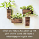 LaLaGreen Wood Planter Box for Plants (4 Pack) Wooden Hanging Wall Planters for Indoor Plant Holder Vase for Dried Flowers, Modern Living Room Bedroom Kitchen Home Office Decor by GreenHaven Gardens