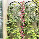 2 Pack Metal Garden Trellis 86.7" H Garden Fence Rustproof Trellis for Climbing Plants Support Roses Flower Outdoor Lawn Black by GreenHaven Gardens