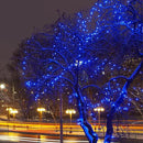 Christmas Lights,100 LED 39FT Outdoor/Indoor Christmas Lights Plug in with 8 Modes & Timer & Memory Function, Waterproof Christmas Lights Outdoor for Holiday Party Christmas Tree Decor by GreenHaven Gardens