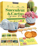 HOME GROWN Deluxe Succulent & Cactus Seed Grow Kit - Indoor Cactus & Succulent Kit w/Cactus Seeds, Potting Soil, Ceramic Succulent Pots, Water Drip Trays, Grow Guide for Plant Lovers by GreenHaven Gardens