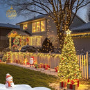 JMEXSUSS 2 Pack Solar String Lights Outdoor Waterproof - Total 400 LED 151FT Solar Lights Outdoor, 8 Modes Warm White Christmas Light for Outside Patio Yard Tree Garden Christmas Decorations by GreenHaven Gardens