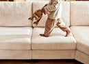 Nolany Modular Sectional Couch with Storage Ottoman, Corduroy Sleeper Sectional Sofa with Chaise, Sectional Couches for Living Room, Beige by CozyNest Decor