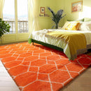 ONASAR Rugs for Living Room Bedroom, 5x8 Washable Fluffy Orange and White Area Rug, Geometric Boho Soft Plush Shaggy Fuzzy Floor Carpet for Nursery Kids Girls Boys Teen Dorm Home Decor Aesthetic by TinyTreasures Baby Boutique