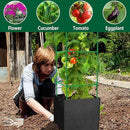 3 Packs 47 x 16 x 16 Inch Garden Tomato Cages with 17.7 Gallon Grow Bags- Square Plant Support Trellis Assembled with Planter Bags- Garden Cucumber Vegetables Frames for Vertical Climbing Plants by GreenHaven Gardens