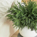 WeGuard 16 Pcs Real Touch Artificial Norfolk Pine Branches, 18 Inches Faux Cedar Pine Stem Fake Christmas Greenery Picks for Vase DIY Garland Wreath Christmas Decor Home Decor by CozyNest Decor