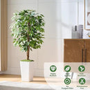 Artificial Ficus Tree 5FT Faux Floor Tree with Planter UV Resistant Potted Fake Silk Plant, Real Wood Trunk-Indoor Outdoor Lifelike Fake Ficus Tree for Home, Living Room Bedroom Topiary Tree by CozyNest Decor
