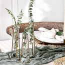Propagation Station Terrariums with Gold Metal Stand - Kate Aspen 3 Glass Test Tube Planters for Indoor Plant, Air Plants, Plant Clippings, Cut Flowers, Herbs, Succulents | Home Decor Table Decoration by GreenHaven Gardens