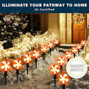 Joiedomi Set of 14 Christmas Lollipop Pathway Lights Outdoor with Stakes and Clips, 14.3 FT Plug in Peppermint Walkway String Lights for Christmas Decoration, Yard, Pluggable, Hangable, Waterproof by GreenHaven Gardens
