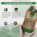 Organo Republic Beet Sprouting & Microgreens Seeds - 20,000 Non GMO Heirloom Seeds, Sprouts in Bulk 1lb Resealable Bag for Planting and Growing in Soil, Coconut Coir, Aeroponic & Hydroponic System by GreenHaven Gardens