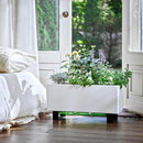 Glowpear Self-Watering Mini Bench Planter - 23.6" in Pot, Free Standing, UV Stable, Scalable, Indoor | Outdoor Pot with Water Gauge, for Home Kitchen Windowsill Gardening by CozyNest Decor