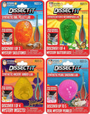 Dissect-It Discover-It Simulated Synthetic Lab Dissection STEM Toy, Complete Set of 4 Kits, Kids’ Home Learning Science Projects, Great for Young Scientists! by TinyTreasures Baby Boutique