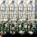 2 Pack Metal Garden Trellis for Climbing Plants 71" x 19.7" Outdoor Fence Rustproof Garden Trellis Support Roses Flower Lawn, Black 6FT by GreenHaven Gardens