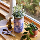 Modern Sprout New & Improved Mason Jar Grow Set, Indoor Herb Garden, Seed Starter Set, Organic Seeds, Hydroponic Growing (Basil + Lavender) by GreenHaven Gardens
