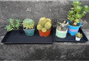 Plant Growing Trays 2 Pack, Plant Tray, 14.5"x11", Heavy Sturdy Plastic Plants Saucer, Seedling Starter Trays, Seed Starter Growing Tray (Black) by GreenHaven Gardens