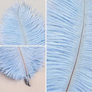 THARAHT Light Purple Ostrich Feathers 12pcs Natural Bulk 8-10Inch 20cm-25cm for Crafts Wedding Party Centerpieces Easter Gatsbi and Home Decoration Feathers by CozyNest Decor