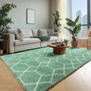 ONASAR Area Rugs for Bedroom Living Room, Washable 4x6 Fluffy Sage Green and White Throw Rug, Shaggy Geometric Floor Mat for Home Decor Aesthetic, Soft Plush Fuzzy Carpet for Nursery Kids Teen Dorm by TinyTreasures Baby Boutique