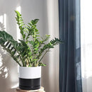 D'vine Dev 8.2 Inch Ceramic Planter Pot with Drainage Hole and Saucer, Indoor Cylinder Round Planter Pot, Layered Monochrome Black & White, 94-O-D-L by GreenHaven Gardens