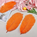 THARAHT Orange Ostrich Feathers 24pcs Natural Bulk 8-10Inch 20cm-25cm for Crafts Wedding Party Centerpieces Halloween and Home Decoration Feathers by CozyNest Decor