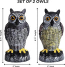 Galashield Owl Decoy to Scare Birds Away | Plastic Owls to Scare Birds Away | Owl Statue for Garden & Outdoors by Galashield [Set of 2] by GreenHaven Gardens