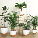 Uneed Indoor Self Watering Planters with Drainage Holes and Saucers, 7/6.5/6/5.5/5 Inch-5 Pots,for Indoor Plants, Herbs, Succulents (White) by CozyNest Decor