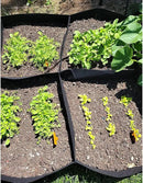 CJGQ Fabric Raised Garden Bed 6x3x1ft Garden Grow Bed Bags for Growing Herbs, Flowers and Vegetables 128 Gallon