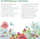 Created By Nature Maine Wildflower State Mix, 15 Flower Varieties, 50,000 Seeds by GreenHaven Gardens