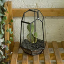NCYP Small Geometric Terrarium - 4.1" x 3.5" x 5.9" Miniature Irregular Glass Terrarium Planter for Succulent Air Plants - Tabletop Garden Display Container, Black (No Plants, No Door) by CozyNest Decor