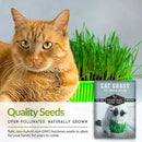 Cat Grass Seed for Planting - 5 Packets with Instructions to Plant & Grow Greens for Your Pet Indoors or Outdoors in a Container or Garden - Non-GMO Heirloom Variety - Survival Garden Seeds by GreenHaven Gardens