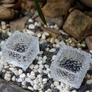 Solar Brick Lights, Outdoor Solar Lights, Outdoor Waterproof Patio Brick Lights, 2.8 * 2.8in Garden Decor for Outside 4 Packs for Patio,Yard,Walkway,Pathway Decor by GreenHaven Gardens