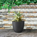 Kante 14 Inch Dia Round Concrete Planter, Indoor Outdoor Large Plant Pot with Drainage Hole and Rubber Plug for Home Patio Garden, Black by GreenHaven Gardens