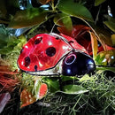 Teaeeno Ladybug Solar Lantern Pattern Light,Hanging Waterproof LED Solar Lights Outdoor Decorative,Sun-Powered Tabletop Lanterns,Metal Solar-Powered Lantern Outdoor by GreenHaven Gardens