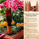 6 Pack Terracotta Watering Spikes for Indoor and Outdoor Plants - Simple and Easy Setup - Keep Plants Happy and Watered While You are Away by GreenHaven Gardens