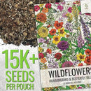 Seed Needs Wildflower Seeds Hummingbird and Butterfly Seed Mix | 2 Packs (1 Ounce Each) No Filler 23 Varieties Garden Seeds Annual & Perennial Species | Pollinator Attracting Flower Seed | Bulk by GreenHaven Gardens
