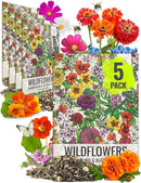 Seed Needs Wildflower Seeds Hummingbird and Butterfly Seed Mix | 5 Packs (1 Ounce Each) No Filler 23 Varieties Garden Seeds Annual & Perennial Species | Pollinator Attracting Flower Seed | Bulk by GreenHaven Gardens