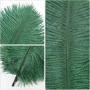 THARAHT Blackish Green Ostrich Feathers 24pcs Natural Bulk 8-10Inch 20cm-25cm for Crafts Wedding Party Centerpieces Mardi Gras Decoration Feather by CozyNest Decor