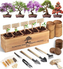 Bonsai Tree Kit for Beginners – 5X Unique Japanese Bonzai Trees | Complete Indoor Starter Kit for Growing Plants with Bonsai Seeds, Tools & Planters – Gardening Gifts for Women & Men by GreenHaven Gardens