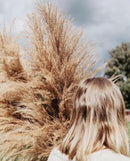 40" inch 10 Stems Pampas Grass Decor Tall, Pampas Grass Bouquet, Natural Dried Flowers for Wedding, Natural Home Decor, Wall Grass, Glam Decor by CozyNest Decor