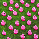 200PCS Mini Resin Animals Cute Rose Pink Tiny Flamingo Ducks, Miniature Figures to Hide, Small Animal Toys Accessories Bulk for Topper Garden Dollhouse Landscape Aquarium Ornaments DIY Crafts & Decor by GreenHaven Gardens