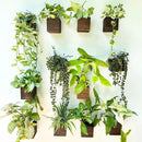 LaLaGreen Indoor Planter Box for Plants (12 Pack, 4x4 Inch) Small Square Wooden Wall Mounted Planters Wood Window Boxes Hanging Flower Pot Plant Holder Outdoor Herb Modern Vertical Garden Home Decor by GreenHaven Gardens
