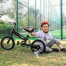 Balance Bike 2 in 1,The Dual Use of a Kids Balance Bike and Kids Bike,12 14 Inches for 2-6 Years Old,with Shock Absorbers, Fenders, Pedals, Auxiliary Wheels by TinyTreasures Baby Boutique