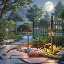 CINOTON 8 Pack RGBCW Solar Pathway Outdoor Lights, 3 Lighting Modes Solar LED Garden Lights, IP65 Waterproof Outside Solar Powered Landscape Lighting for Sidewalk Driveway Backyard RGB/Warm/Cold White by GreenHaven Gardens